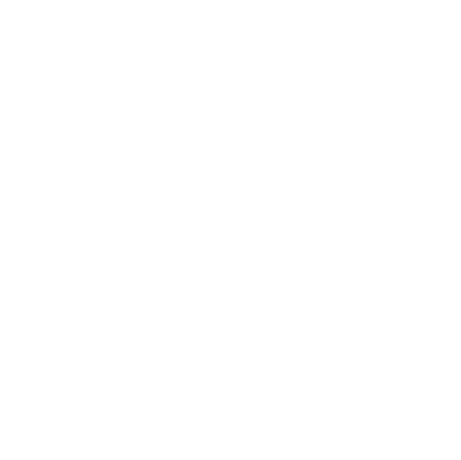 Bottom Ring Inner